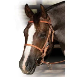 Professionals Choice Leather Trail Bridle