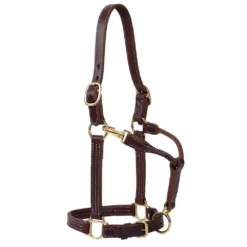 Weaver Leather Small Horse 1in Oiled Track Halter