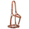 Weaver Leather 1in Russett Harness Leather Riveted Halter