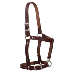 Weaver Leather Burgundy Latigo Leather Riveted Horse Halter