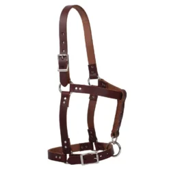 Weaver Leather 1in Oiled Horse Riveted Halter
