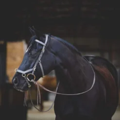 Horseware Ireland Rambo Micklem Multibridle