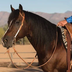 Professionals Choice Easy Change Rope Cheek Headstall
