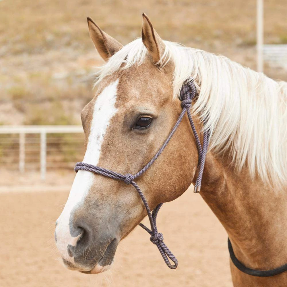 Steele Halters Average Horse Rope Halter - Image 7