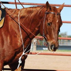 Martin Saddlery String Martingale
