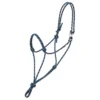 Weaver Leather Silvertip No.95 Halter With Clip