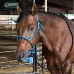 Caudle`S Halters Rope Nose Halter With An 8 1/2ft Lead Rope