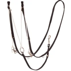 Mustang German Martingale