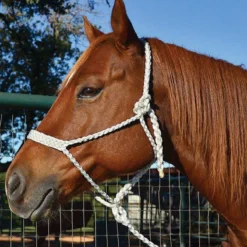 Martin Saddlery Mule Tape Halter