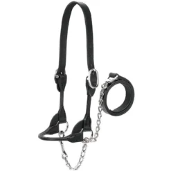 Weaver Leather Leather Dairy/Beef Show Halter