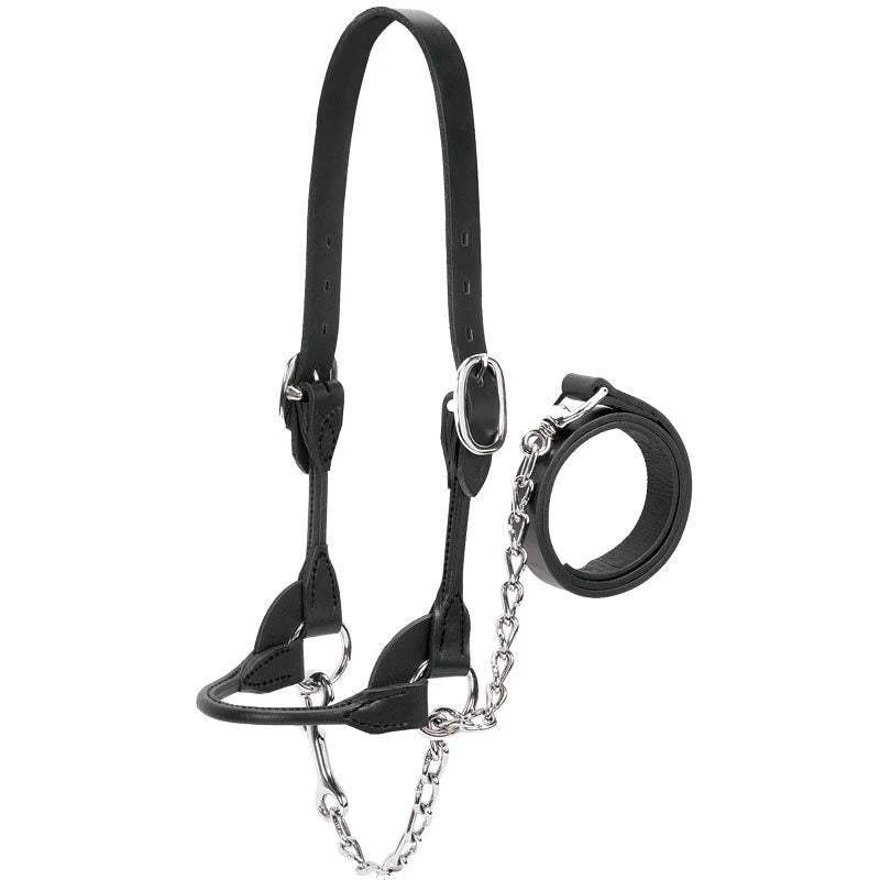 Weaver Leather Leather Dairy/Beef Show Halter