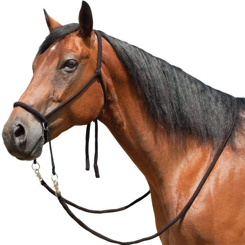 Mustang Bitless Bridle