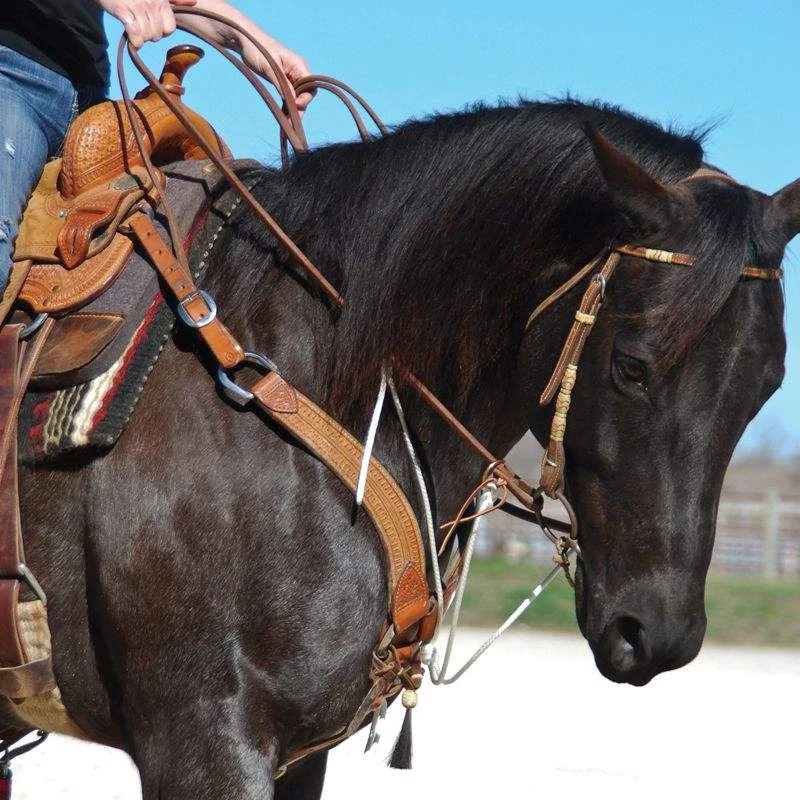 Nrs Tack String Martingale With Neck Piece