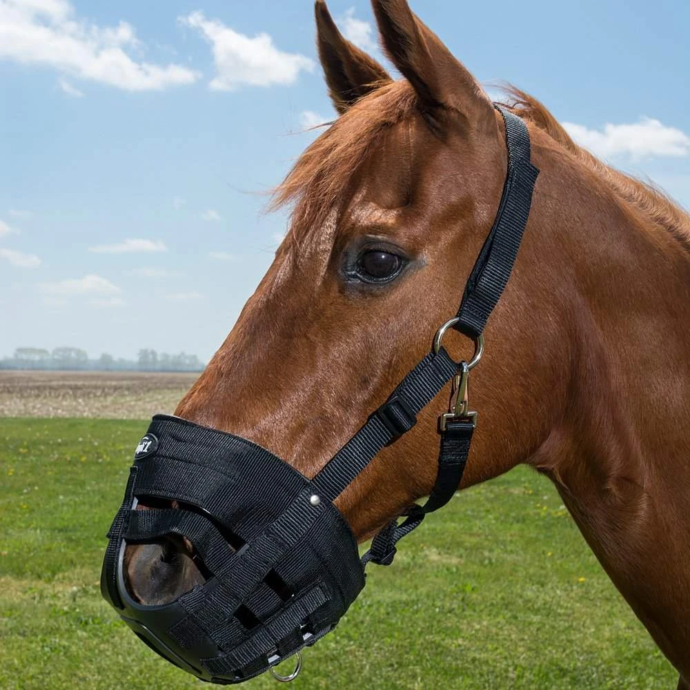 Tough 1 Easy Breath Grazing Muzzle - Image 3