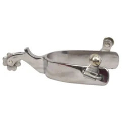 Classic Stainless Steel 1in Band Spur