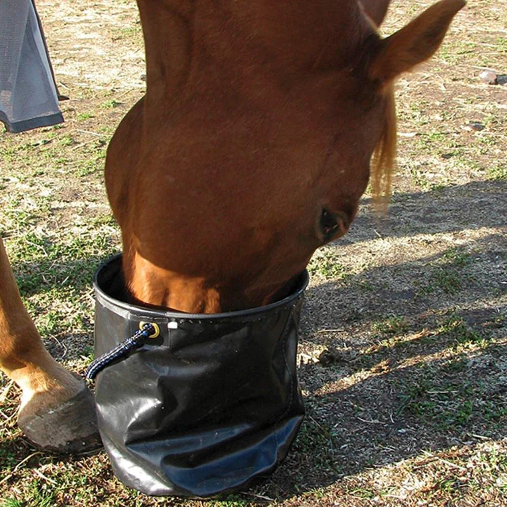 Collapsible Water Pail - Image 2