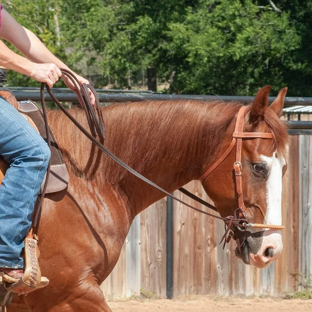 Jim Edwards Sidepull - Image 2
