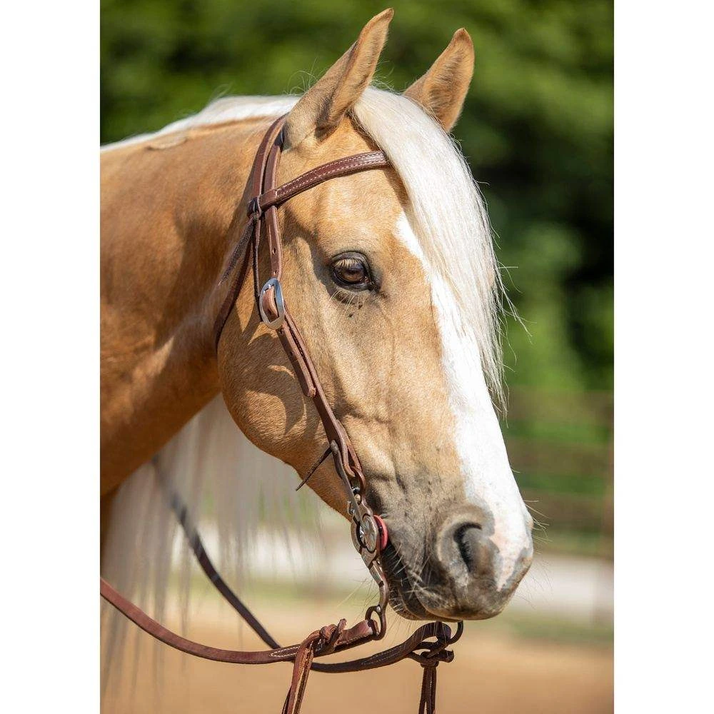 Nrs Tack Oiled Straight Browband Headstall - Image 2